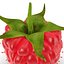 Raspberry
