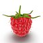 Raspberry