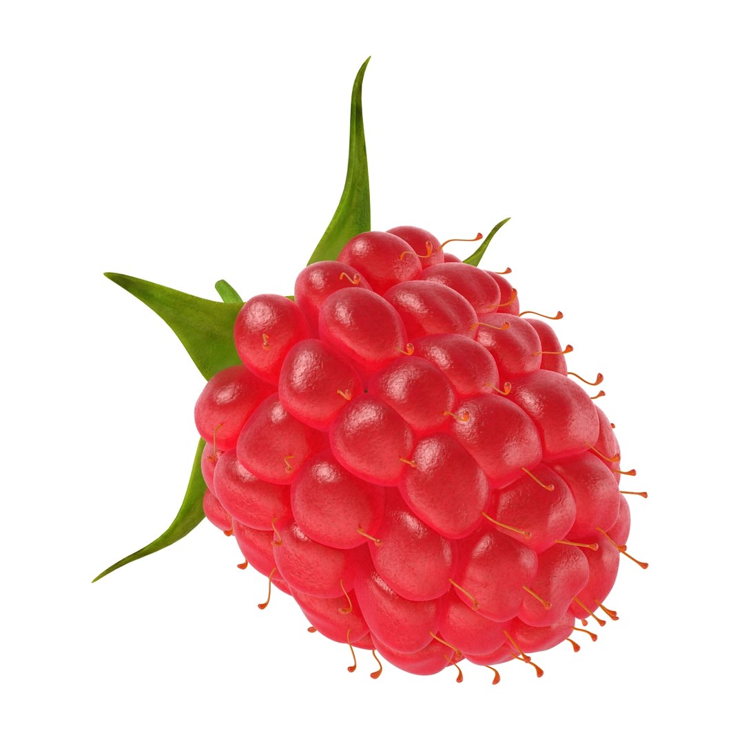 3d model raspberry berry https://p.turbosquid.com/ts-thumb/ew/QXiayo/az6HtT3F/raspberry3dmodel15/jpg/1426681872/1920x1080/fit_q87/9f3c1e82a6b3929026e176e674c1723da7d4a014/raspberry3dmodel15.jpg