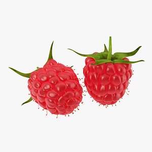 3d model raspberry berry