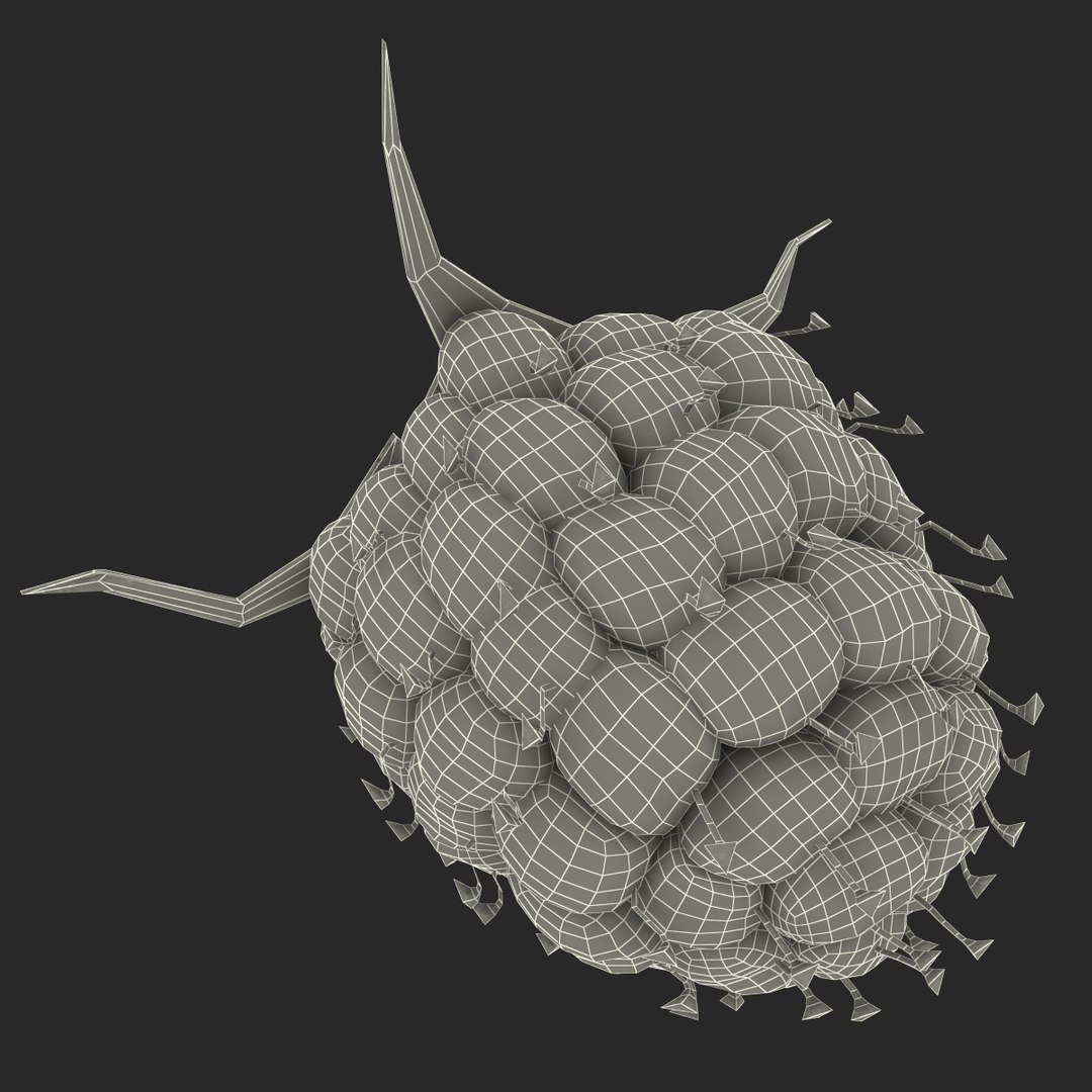 3d model raspberry berry https://p.turbosquid.com/ts-thumb/ew/QXiayo/cgGTOlko/raspberry3dmodel30/jpg/1426681874/1920x1080/fit_q87/d8c3b37cf8bcdf12708269a98b0256f421e87de9/raspberry3dmodel30.jpg
