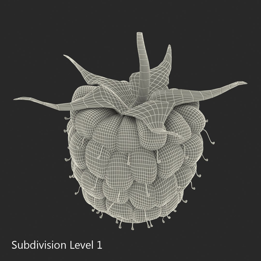 3d model raspberry berry https://p.turbosquid.com/ts-thumb/ew/QXiayo/pqFdvtQe/raspberry3dmodel21/jpg/1426681873/1920x1080/fit_q87/c71aa347d95a88b40adb5cc2ec613105228e53cc/raspberry3dmodel21.jpg