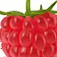 Raspberry
