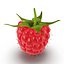 Raspberry