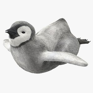 3D penguin baby swimming pose