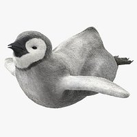 Penguin Baby Swimming Pose