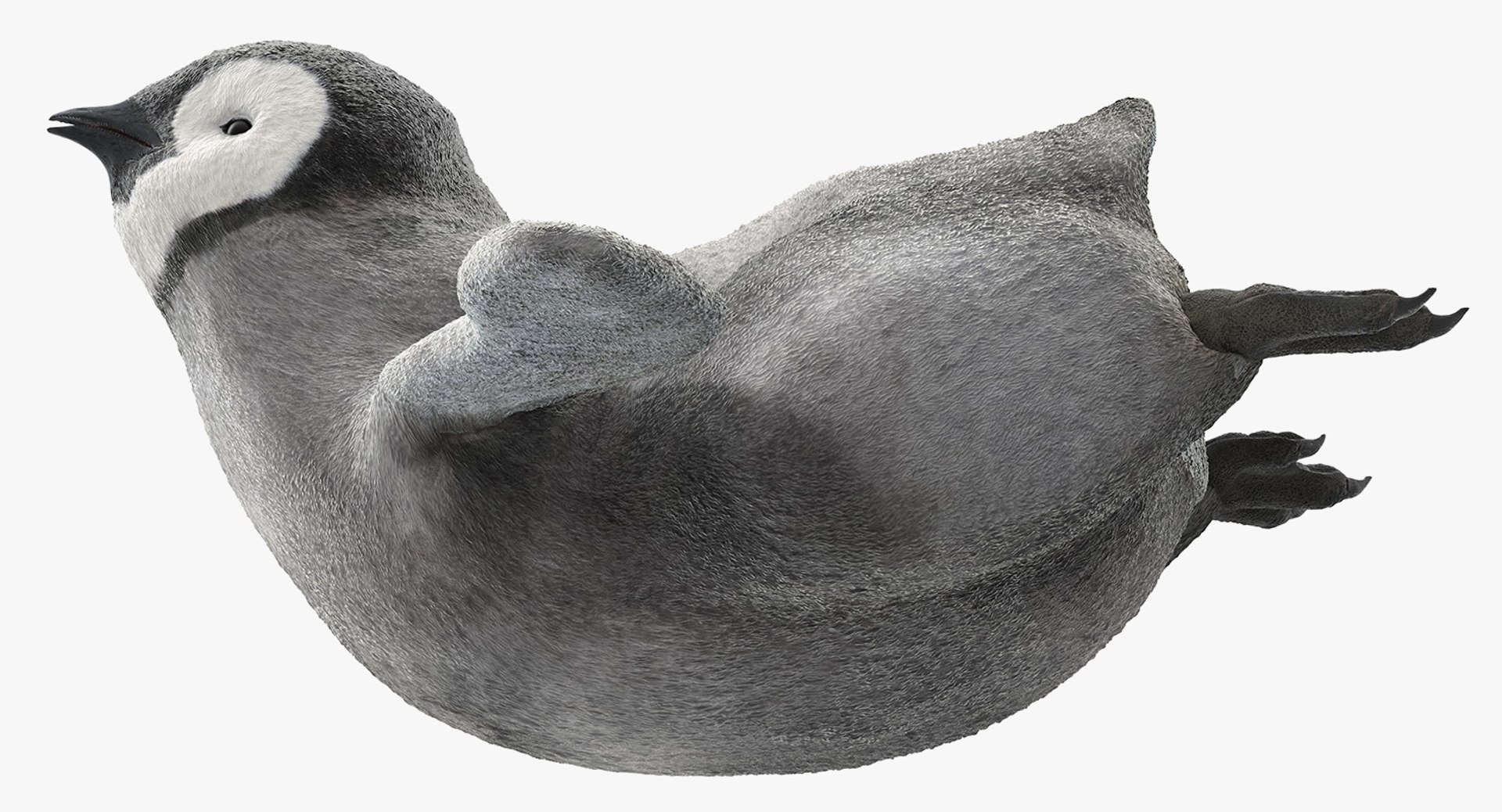 3D penguin baby swimming pose https://p.turbosquid.com/ts-thumb/ew/V64lOR/724AOezU/penguinbabyswimmingposemb3dmodel012/jpg/1563836710/1920x1080/fit_q87/fa66ff0f018fdc9056080790adf9edd3831e2583/penguinbabyswimmingposemb3dmodel012.jpg