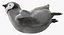 Pinguin-Baby-Schwimmen-Haltung