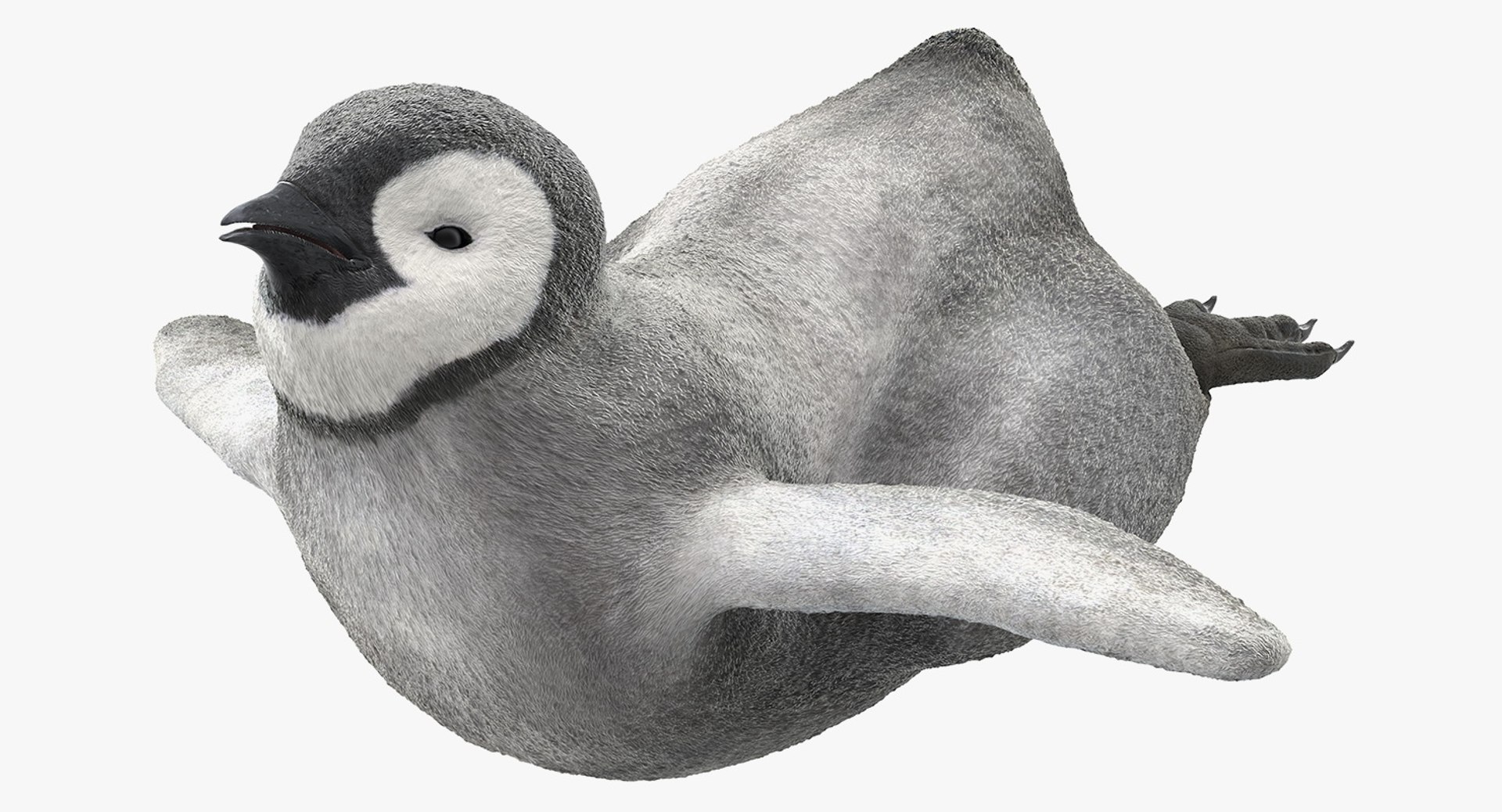 Penguin Baby Swimming Pose 3D model preview