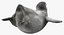 Pinguin-Baby-Schwimmen-Haltung