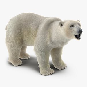 polar bear fur rigged max