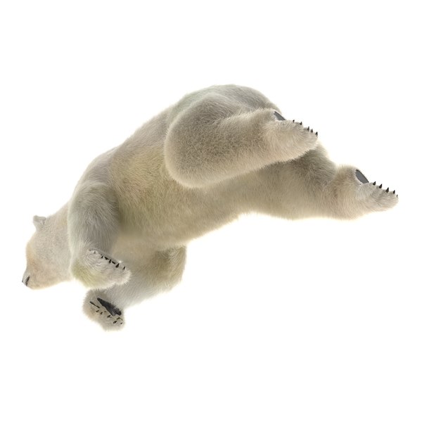 polar bear fur rigged max