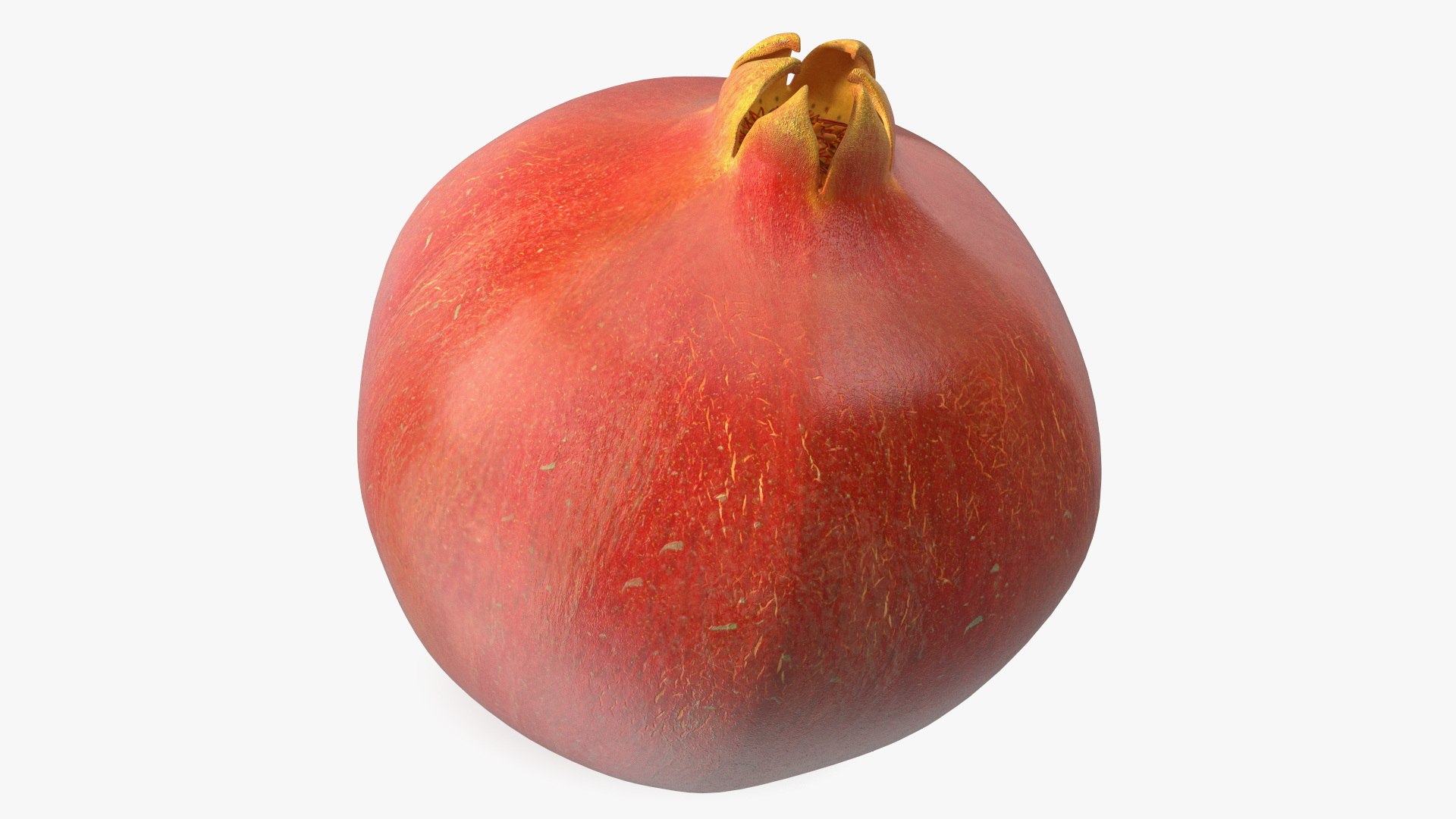 Fruits Collection 10 3D model https://p.turbosquid.com/ts-thumb/ew/jcTBRx/uN/freshpomegranate3dsmodel001/jpg/1695830019/1920x1080/fit_q87/c87b3aee5f1625167f8b73ad847247ceb4727fdd/freshpomegranate3dsmodel001.jpg