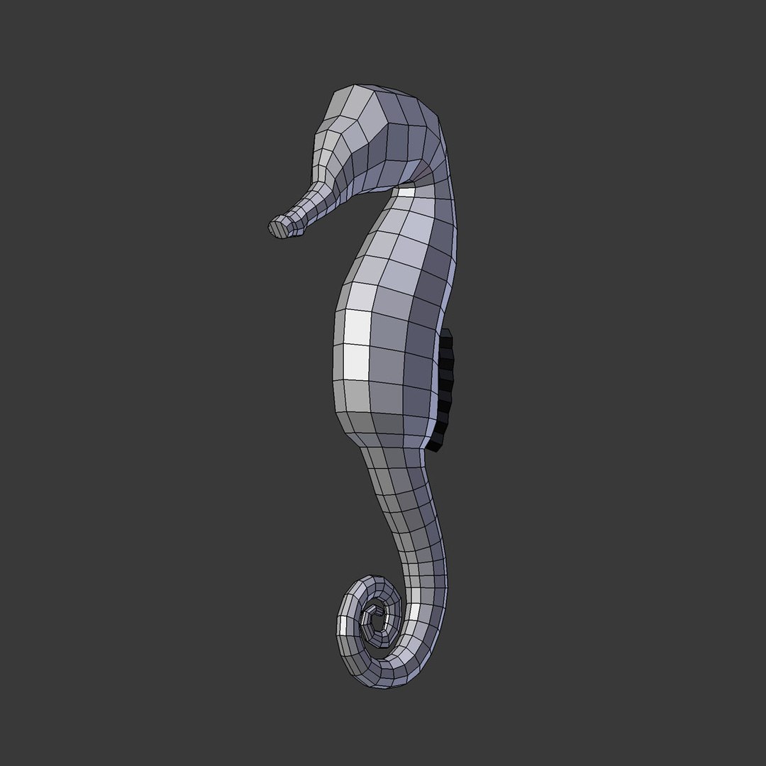 seahorse model https://p.turbosquid.com/ts-thumb/ew/xIRa1E/1eh5RyR8/seahorse4/jpg/1549549955/1920x1080/fit_q87/de81bd12a7542fd1ea7dd5870c7ac00ba2fd5b1e/seahorse4.jpg