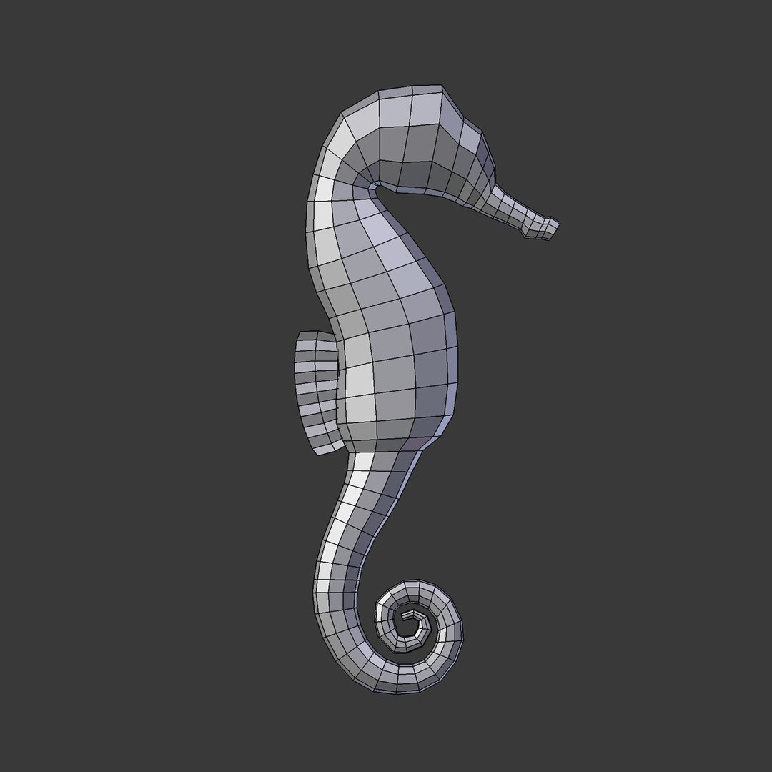seahorse model https://p.turbosquid.com/ts-thumb/ew/xIRa1E/5Y3Zr0ag/seahorse2/jpg/1549549920/1920x1080/fit_q87/1b55171c2547da0f1c98802e84c03ea9d14c10cb/seahorse2.jpg