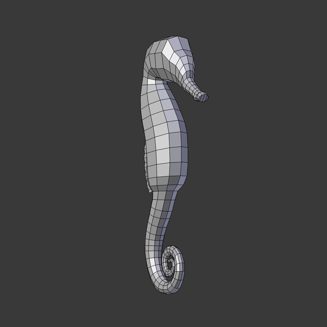 seahorse model https://p.turbosquid.com/ts-thumb/ew/xIRa1E/84UcfUtl/seahorse3/jpg/1549549931/1920x1080/fit_q87/34423b1e6d33ef467b87e93bedf35751d0727591/seahorse3.jpg