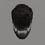Beard and Hair Man's
