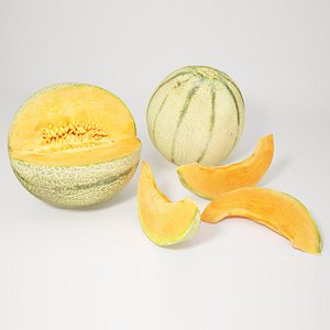 max cantaloupe melon