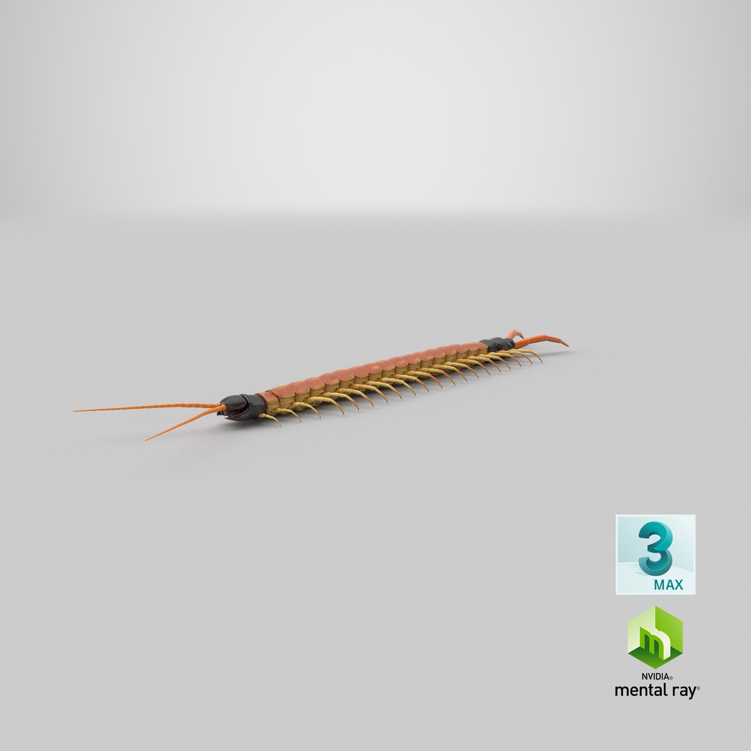 scolopendra heros arizonensis arizona model https://p.turbosquid.com/ts-thumb/ex/92JhPi/9e/stemcell_max_mental_ray_render/png/1621535686/1920x1080/fit_q87/2895e4fd459862608e05e3556cb6c36a277b4a15/stemcell_max_mental_ray_render.jpg