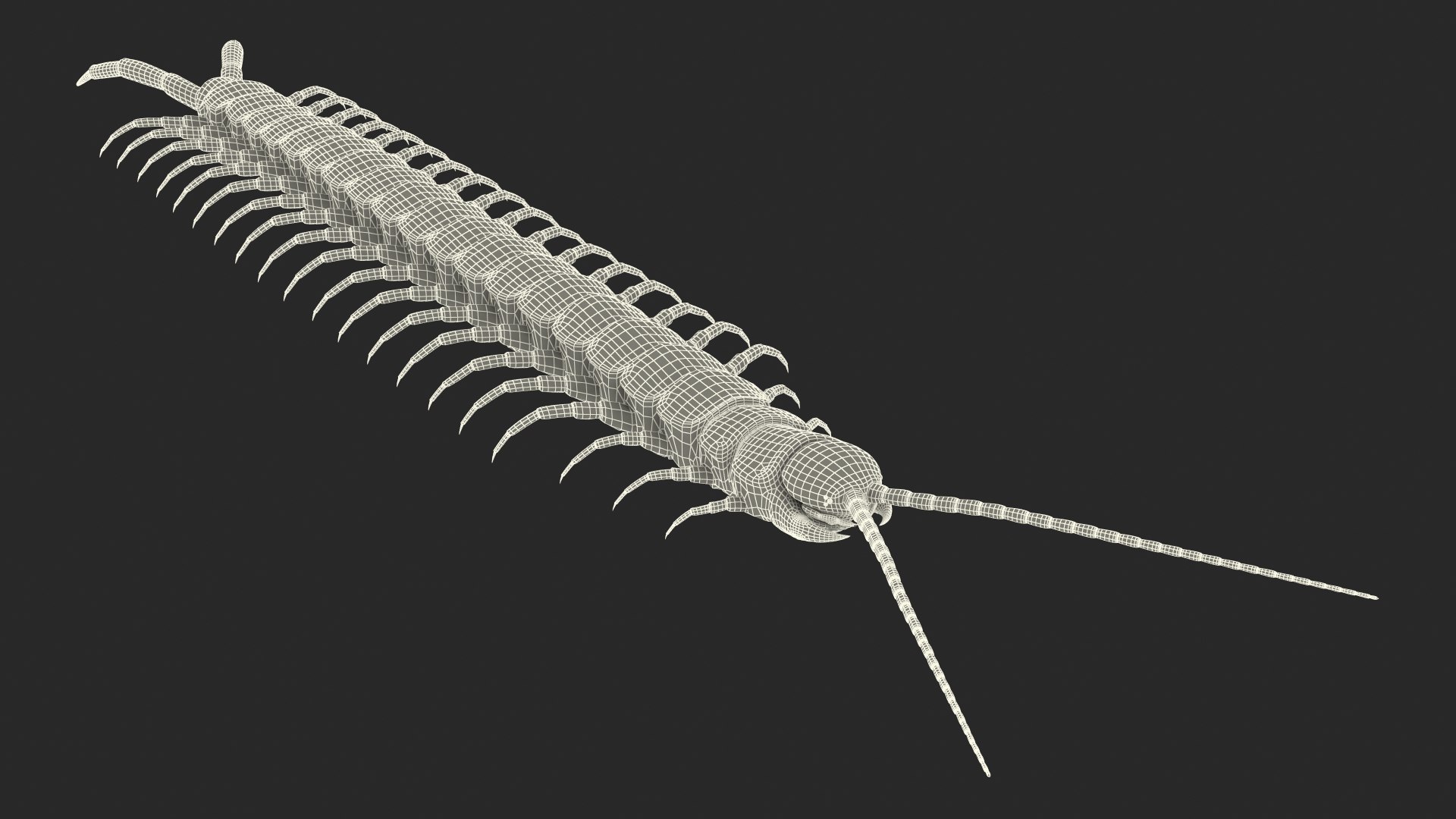 scolopendra heros arizonensis arizona model https://p.turbosquid.com/ts-thumb/ex/92JhPi/B7rcMTay/scolopendraherosarizonensisarizonagiantcentipede3dsmodel023/jpg/1587557372/1920x1080/fit_q87/bf9d20c38d8c4bfa33ee20f72abe8f7f811fb975/scolopendraherosarizonensisarizonagiantcentipede3dsmodel023.jpg