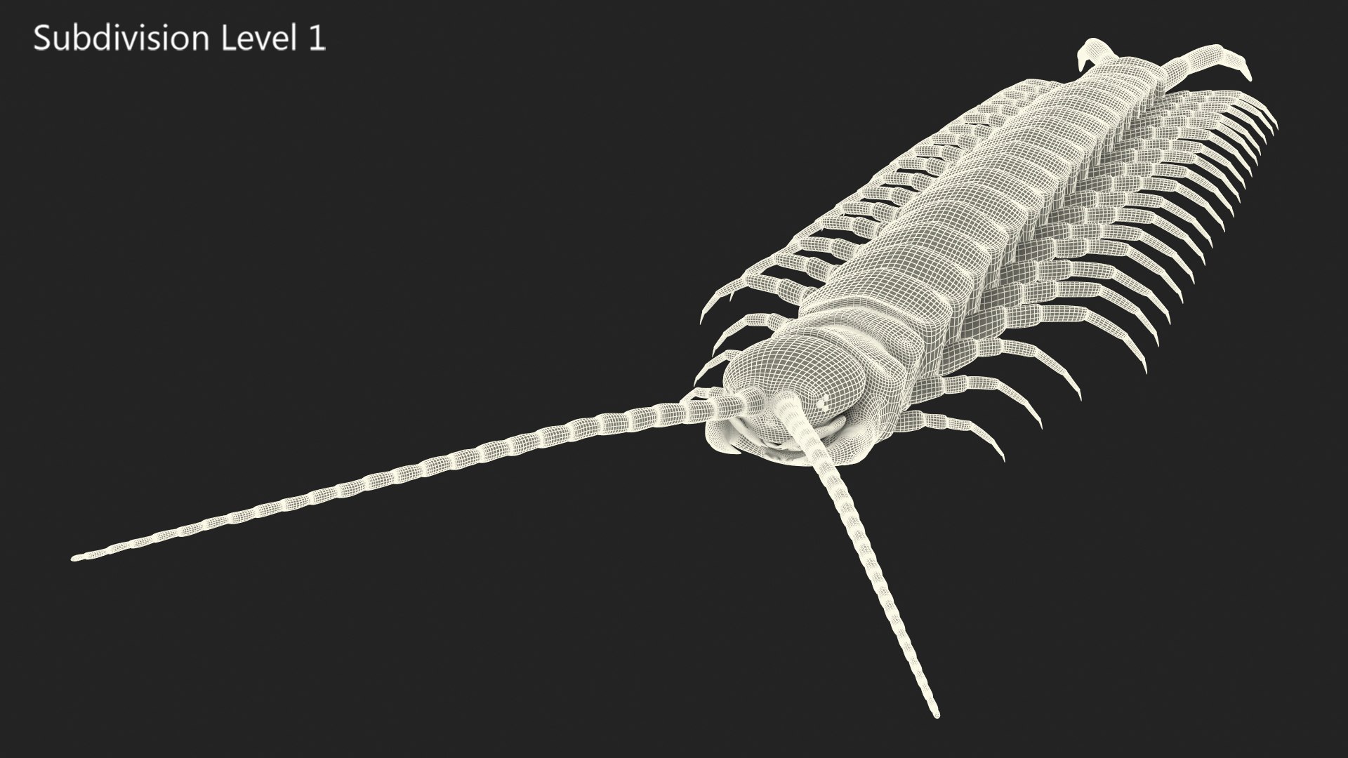 scolopendra heros arizonensis arizona model https://p.turbosquid.com/ts-thumb/ex/92JhPi/EwjDs3uW/scolopendraherosarizonensisarizonagiantcentipede3dsmodel015/jpg/1587557344/1920x1080/fit_q87/e2417d0a65bddabb4298e8fa7e182c2e5ff0a6c0/scolopendraherosarizonensisarizonagiantcentipede3dsmodel015.jpg
