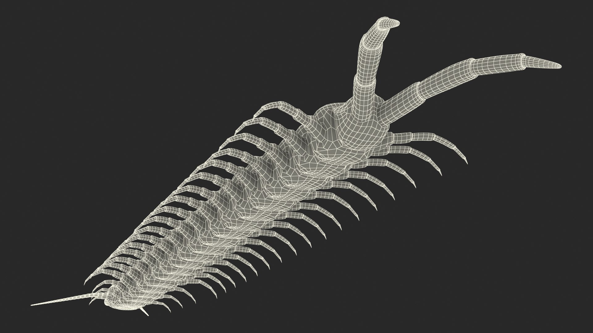 scolopendra heros arizonensis arizona model https://p.turbosquid.com/ts-thumb/ex/92JhPi/QiQ3SlZV/scolopendraherosarizonensisarizonagiantcentipede3dsmodel025/jpg/1587557379/1920x1080/fit_q87/7dd109a3a1de890cc38f149938c11a9c71df65a4/scolopendraherosarizonensisarizonagiantcentipede3dsmodel025.jpg