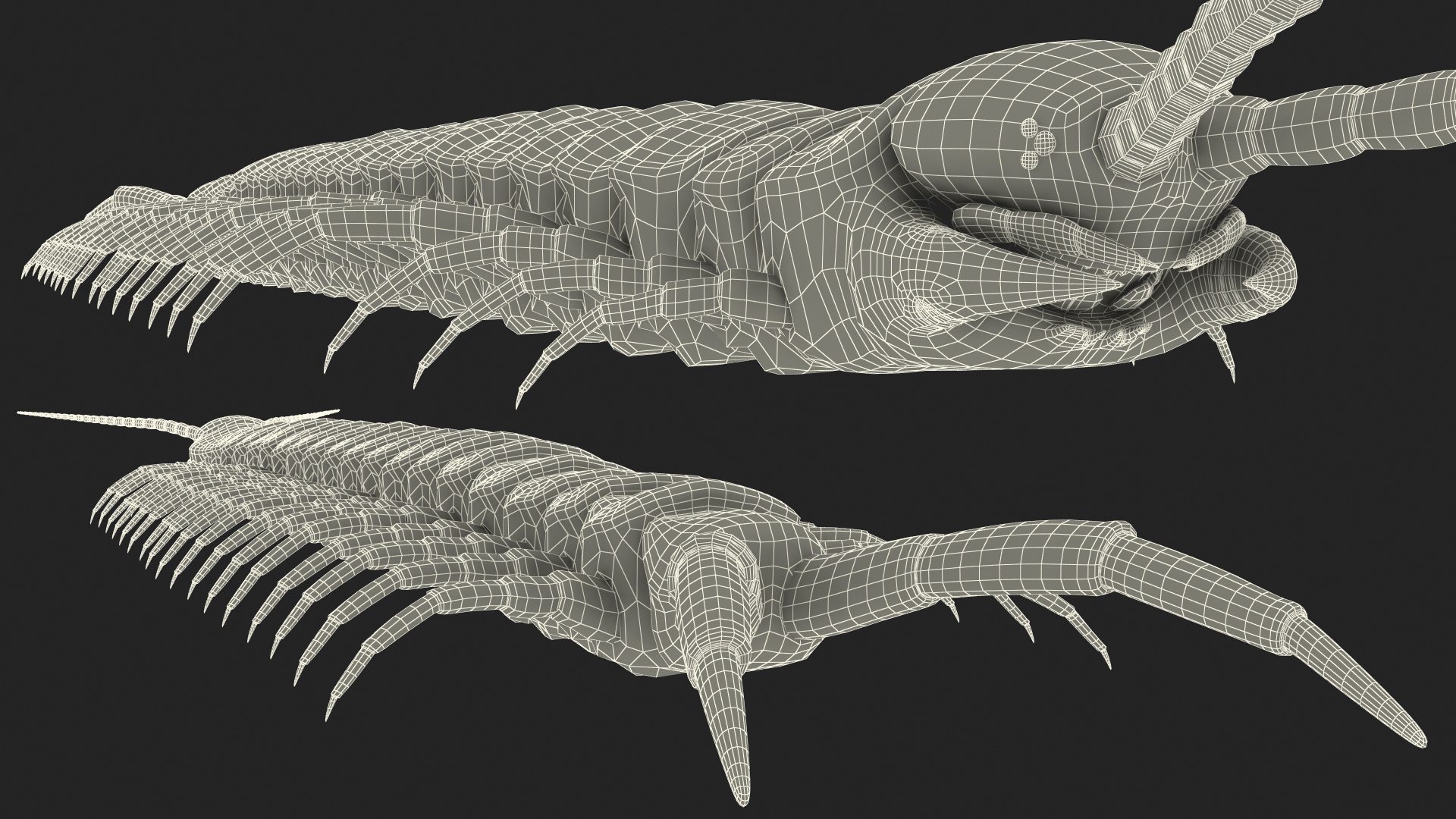 scolopendra heros arizonensis arizona model https://p.turbosquid.com/ts-thumb/ex/92JhPi/lF6Bq5EP/scolopendraherosarizonensisarizonagiantcentipede3dsmodel026/jpg/1587557382/1920x1080/fit_q87/6c9a669bcf60ab1134f5e78f00b7bf7394c756bf/scolopendraherosarizonensisarizonagiantcentipede3dsmodel026.jpg