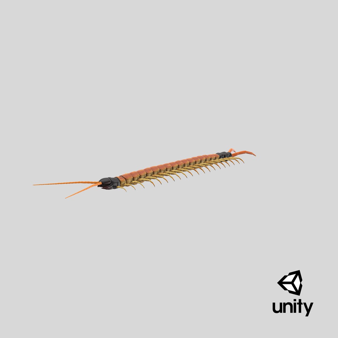 scolopendra heros arizonensis arizona model https://p.turbosquid.com/ts-thumb/ex/92JhPi/ui/stemcell_unity_render/png/1621535675/1920x1080/fit_q87/a3adad3396395e83206ffae6a6b5d4cf0d716232/stemcell_unity_render.jpg