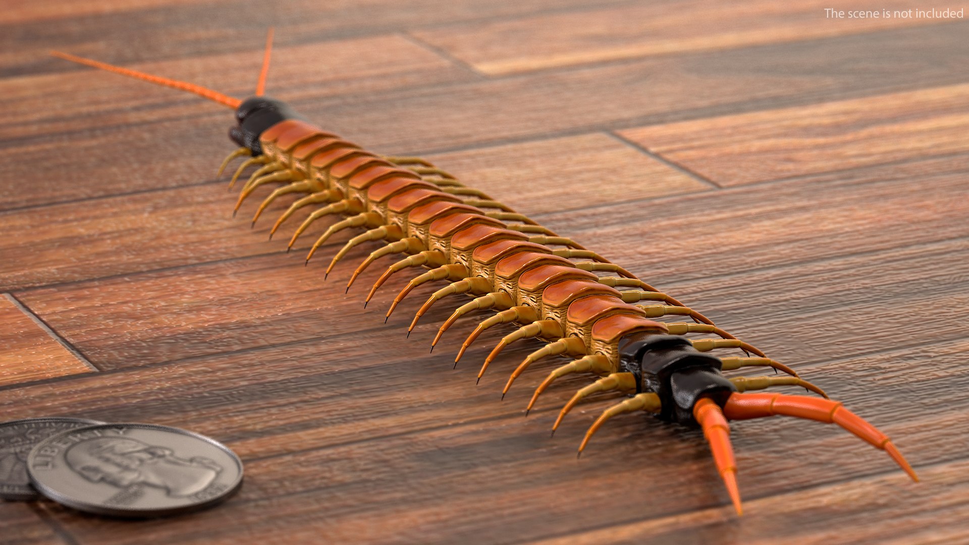 scolopendra heros arizonensis arizona model https://p.turbosquid.com/ts-thumb/ex/92JhPi/y95TSgGG/scolopendraherosarizonensisarizonagiantcentipede3dsmodel003/jpg/1587557302/1920x1080/fit_q87/12b3ee32d6490ead6b3447418418a4f4be7a85e0/scolopendraherosarizonensisarizonagiantcentipede3dsmodel003.jpg