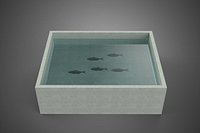 FISH SWIMMING CONCRETE WATER TANK CONTAINER POND POOL AQUA BASIN TYPE A