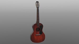 acoustic guitar model