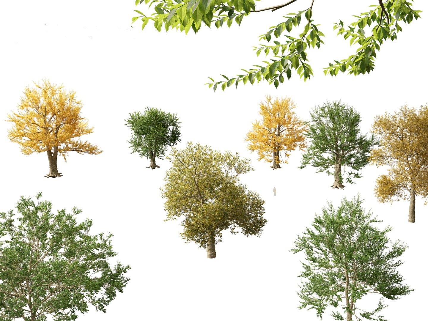 Urban Streetscape Trees Pack 11 3D model https://p.turbosquid.com/ts-thumb/ex/fGpIlo/0d/ulmuslaevis019/jpg/1759240843/1920x1080/fit_q87/aed10d0d4605bc35f51fc0648edca379ed319edc/ulmuslaevis019.jpg