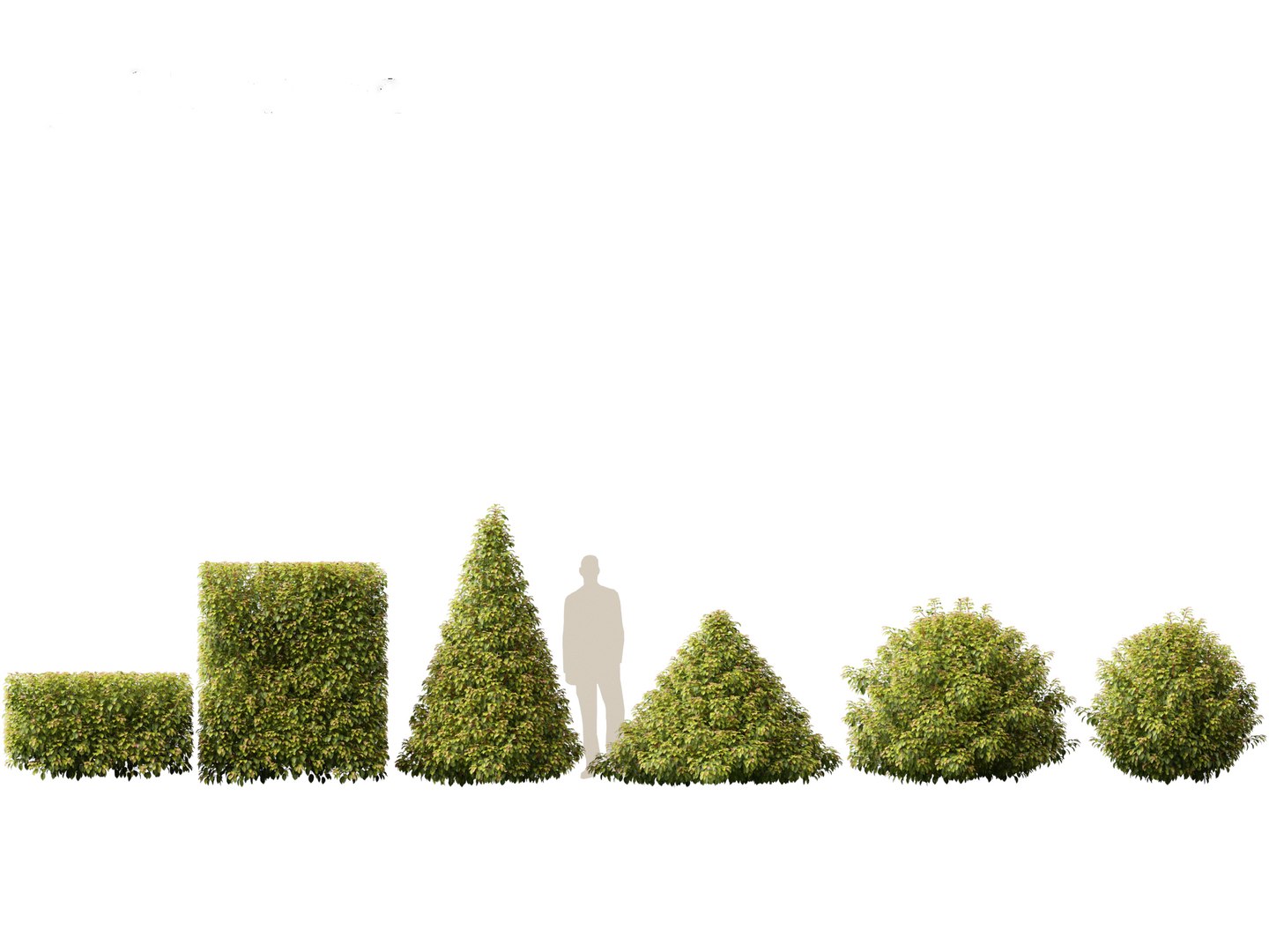 Urban Streetscape Trees Pack 11 3D model https://p.turbosquid.com/ts-thumb/ex/fGpIlo/Q2/prunuslusitanica021/jpg/1759240819/1920x1080/fit_q87/041dc1a16082130bde8c3fb323885ecd6084224d/prunuslusitanica021.jpg