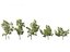 Urban Streetscape Trees Pack 11