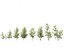 Urban Streetscape Trees Pack 11