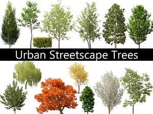 Urban Streetscape Trees Pack 11 3D model
