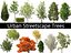 Urban Streetscape Trees Pack 11