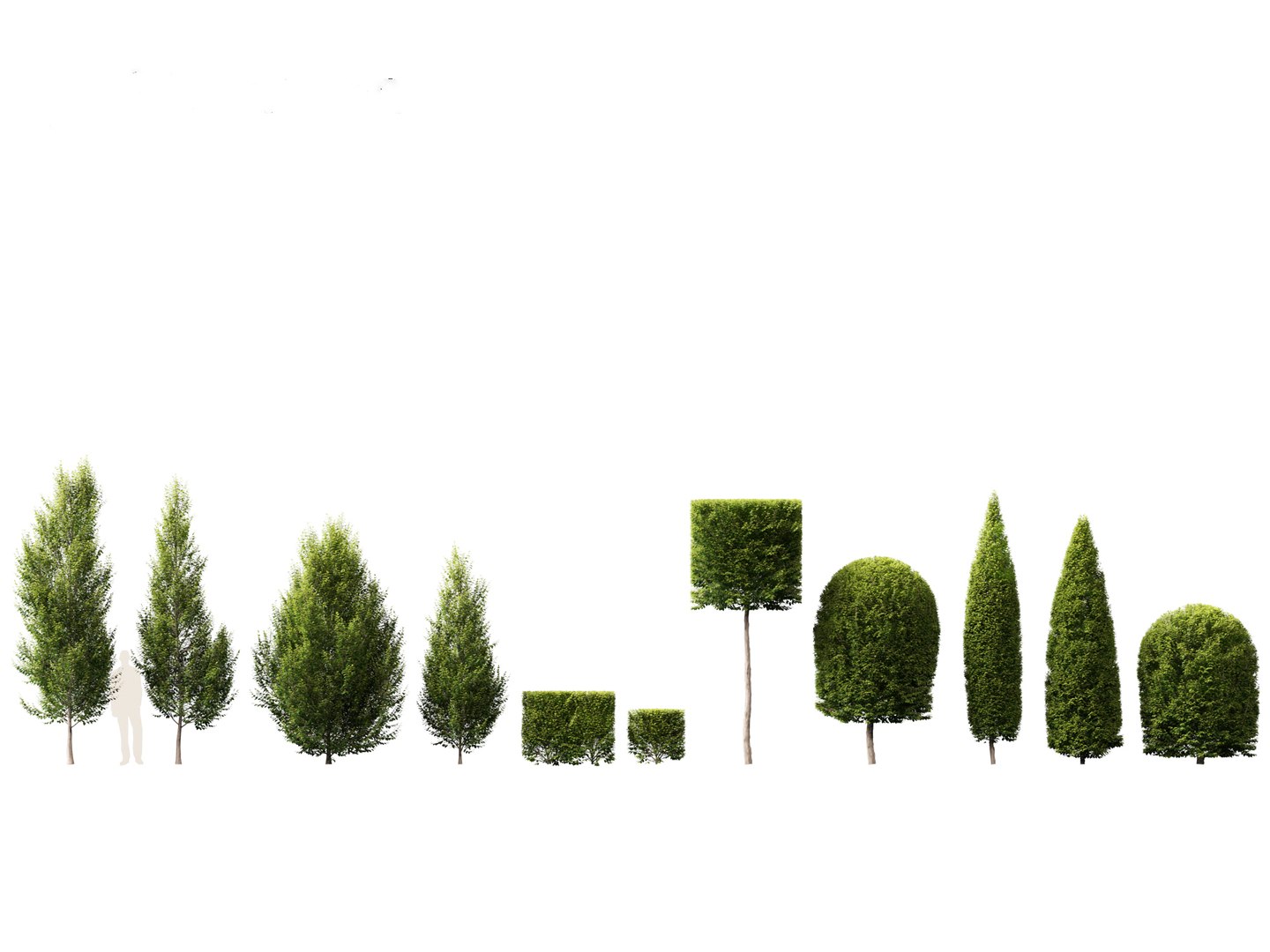 Urban Streetscape Trees Pack 11 3D model https://p.turbosquid.com/ts-thumb/ex/fGpIlo/uw/carpinusbetulus011/jpg/1759240794/1920x1080/fit_q87/0ee9bc233ea61eff58e640ec262c50a45b63b973/carpinusbetulus011.jpg