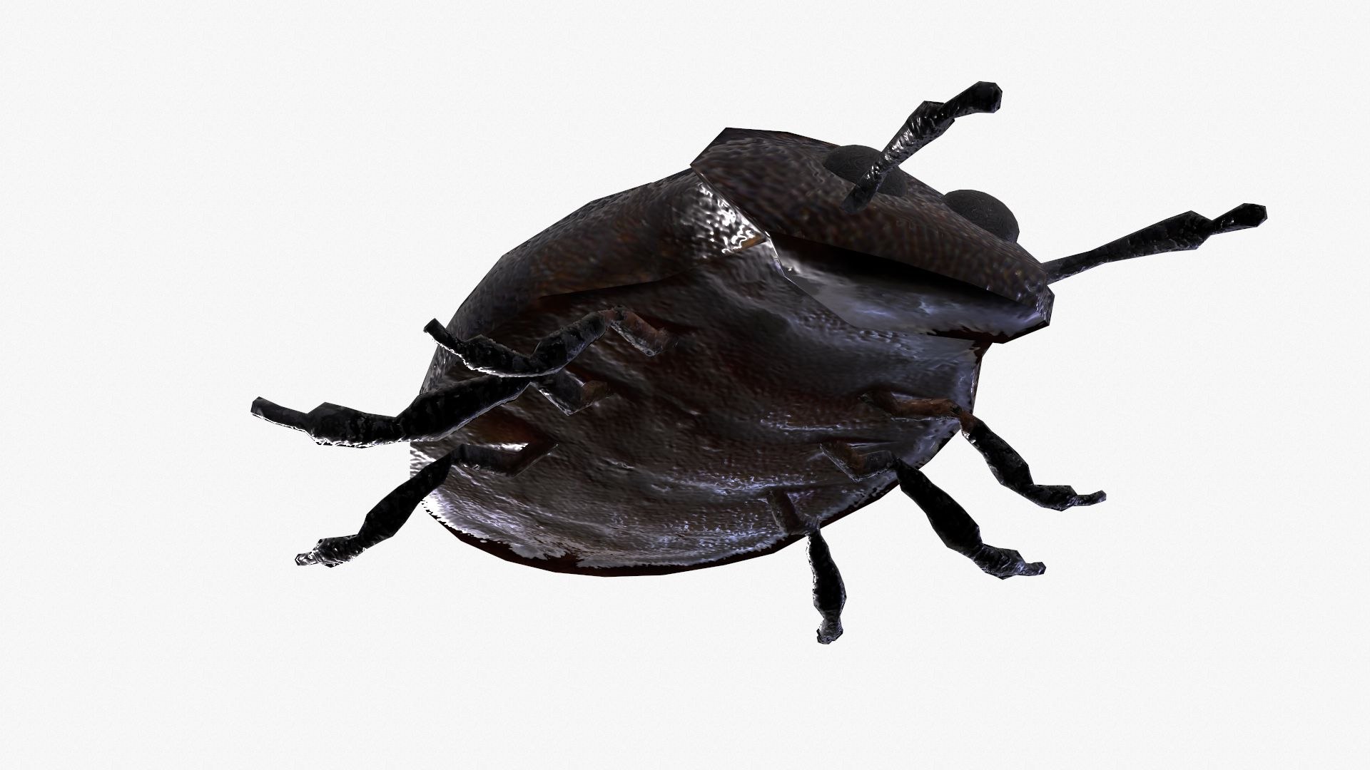Low poly insect 3D model https://p.turbosquid.com/ts-thumb/ex/hHJMTC/Ix/tbrender_005/jpg/1618764373/1920x1080/fit_q87/5af8f15b2262408dfe12d0554da114a769b89aba/tbrender_005.jpg