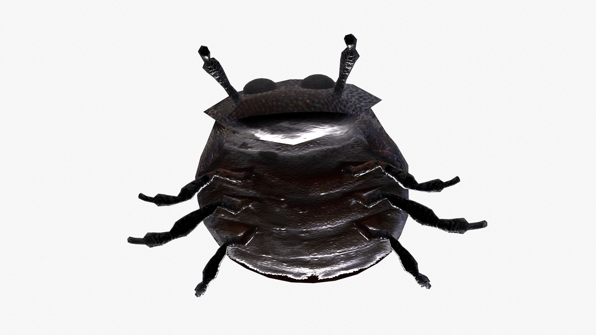 Low poly insect 3D model https://p.turbosquid.com/ts-thumb/ex/hHJMTC/Pq/tbrender_002/jpg/1618764374/1920x1080/fit_q87/c13cb433e567c78c235363e9bf05f4ea3affc70d/tbrender_002.jpg