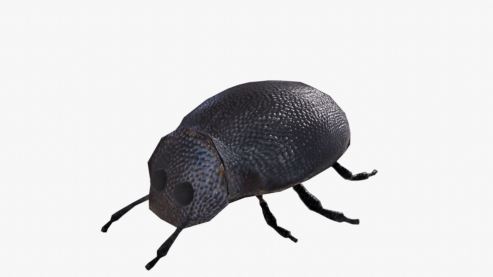 Low Poly Insect 3D Model - TurboSquid 1721405