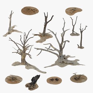 Namibian Desert Dry Vegetation Pack 12 3D model