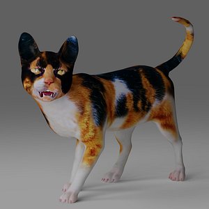 3D Calico Cat Rigged V4 in Blender