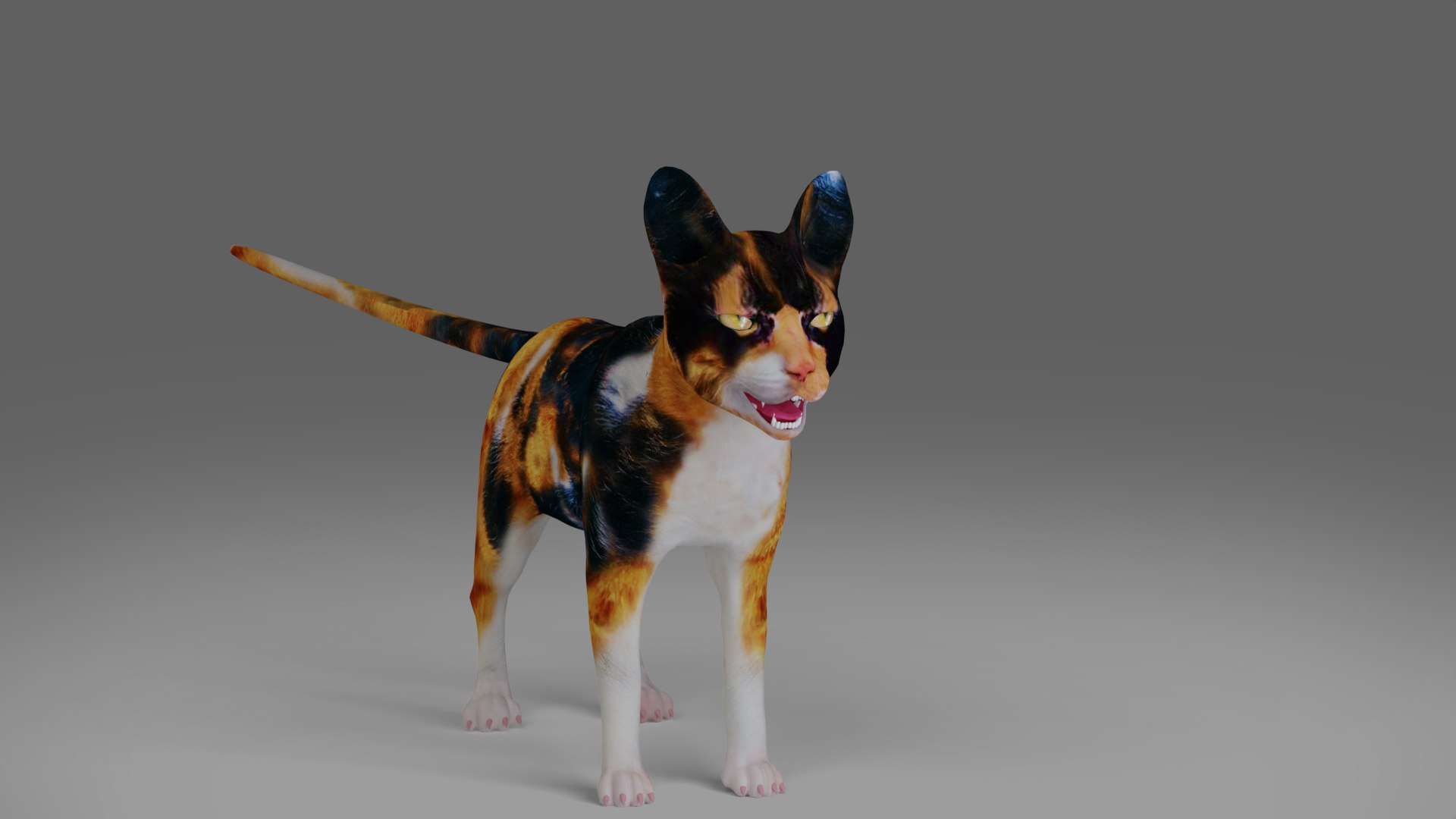 3D Calico Cat Rigged V4 in Blender - TurboSquid 1985482