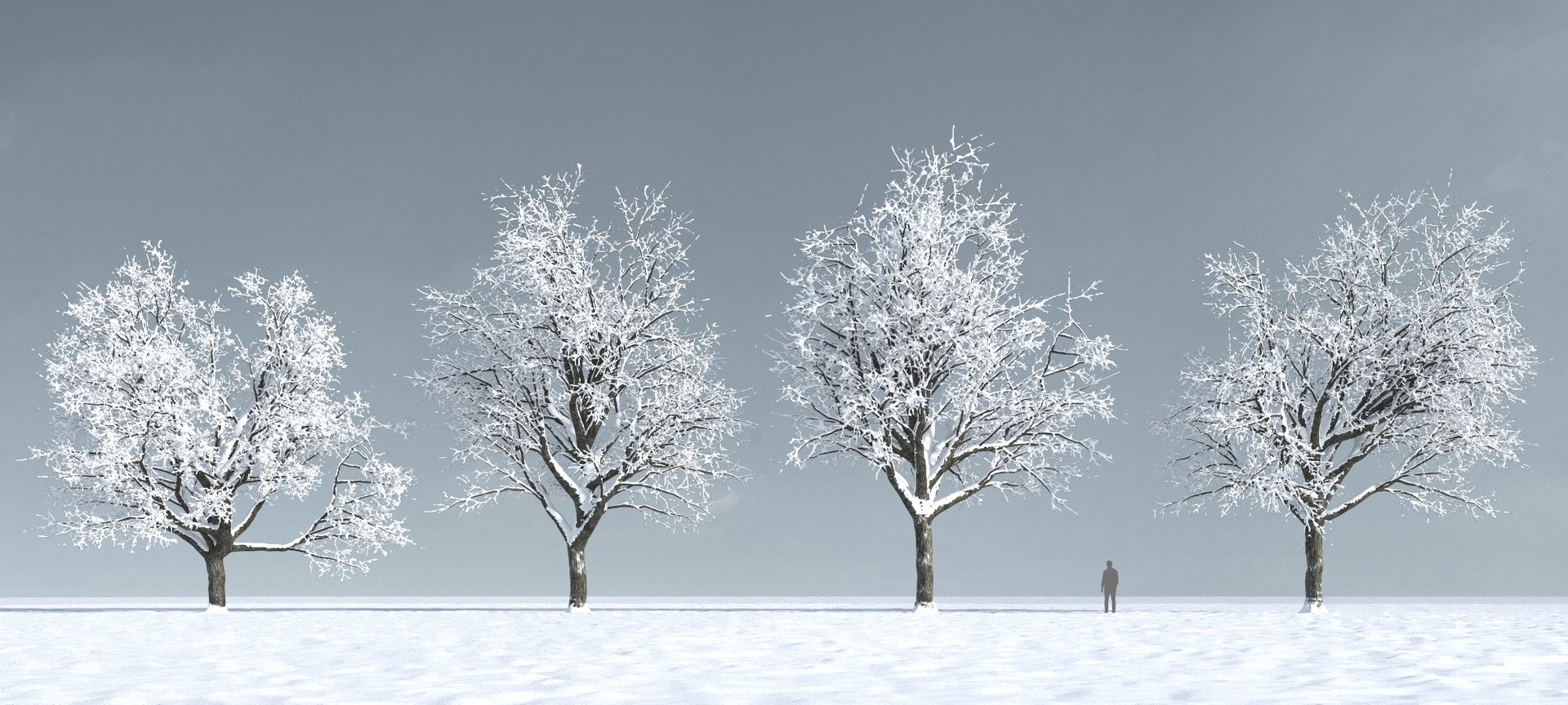 3D trees 9 model https://p.turbosquid.com/ts-thumb/ey/HCWfpw/8EQXbVyM/three_season_trees_9_09/jpg/1543046356/1920x1080/fit_q87/4188e20892760e7ce6faa7f85c0aa296321c9d2c/three_season_trees_9_09.jpg