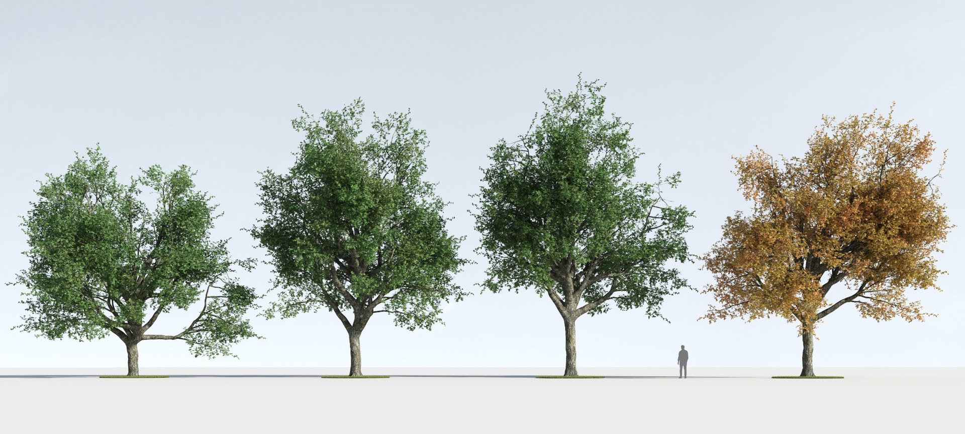 3D trees 9 model https://p.turbosquid.com/ts-thumb/ey/HCWfpw/B5U6UC0b/three_season_trees_9_05b/jpg/1543046356/1920x1080/fit_q87/d5e3e8daaaa1880907ba39c46f7f31f282f79800/three_season_trees_9_05b.jpg