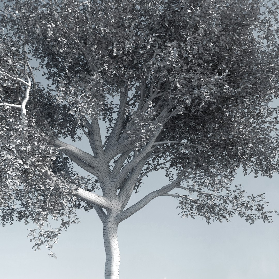 3D trees 9 model https://p.turbosquid.com/ts-thumb/ey/HCWfpw/E7jYp5X3/three_season_trees_9_16/jpg/1543046411/1920x1080/fit_q87/ea0afdacab886b3955689470f1d665b68d7735b1/three_season_trees_9_16.jpg
