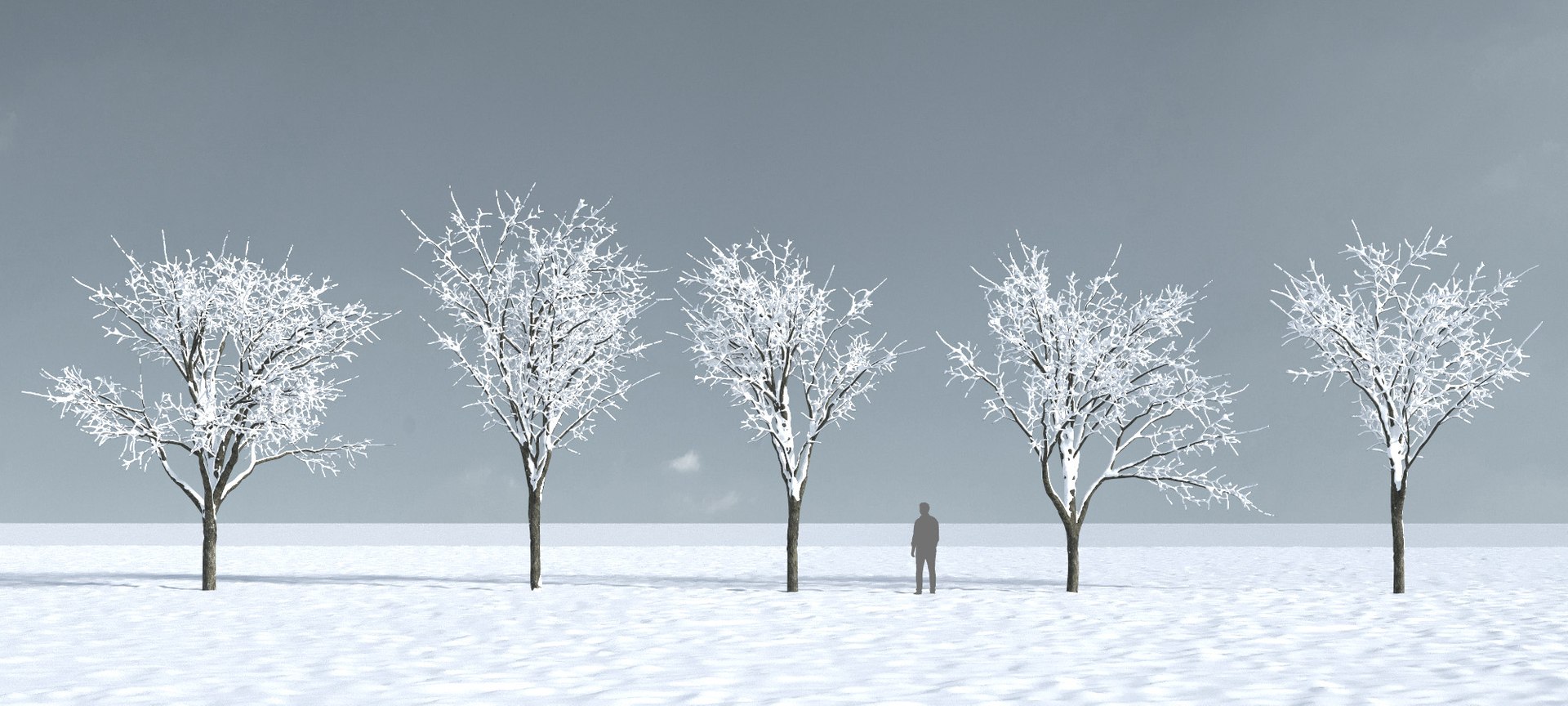 3D trees 9 model https://p.turbosquid.com/ts-thumb/ey/HCWfpw/L8UiUNy1/three_season_trees_9_11/jpg/1543046396/1920x1080/fit_q87/96dc60a0d48ed3631ea788953b2b1c1fad5a2d6a/three_season_trees_9_11.jpg