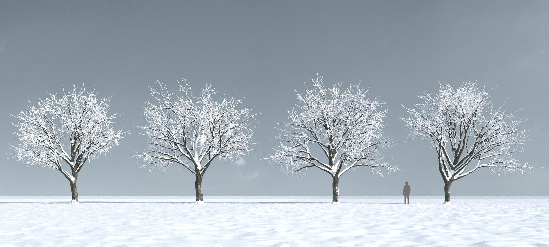 3D trees 9 model https://p.turbosquid.com/ts-thumb/ey/HCWfpw/dp02JwZg/three_season_trees_9_10/jpg/1543046371/1920x1080/fit_q87/4d7bc51880562a3c34659483710056d0acd63bed/three_season_trees_9_10.jpg