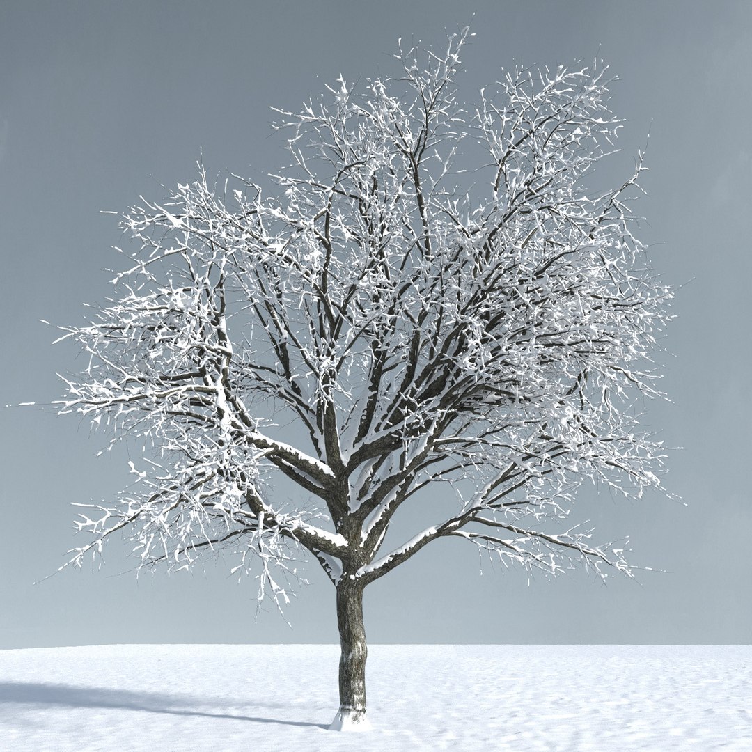 3D trees 9 model https://p.turbosquid.com/ts-thumb/ey/HCWfpw/lKzvzKMV/three_season_trees_9_04/jpg/1543046326/1920x1080/fit_q87/7e5e028f4e13fca83a281e5cd594980080adc903/three_season_trees_9_04.jpg